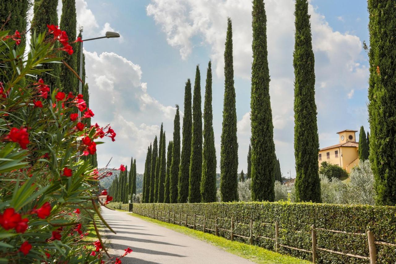 Villa Ligustro Riparbella Exteriér fotografie