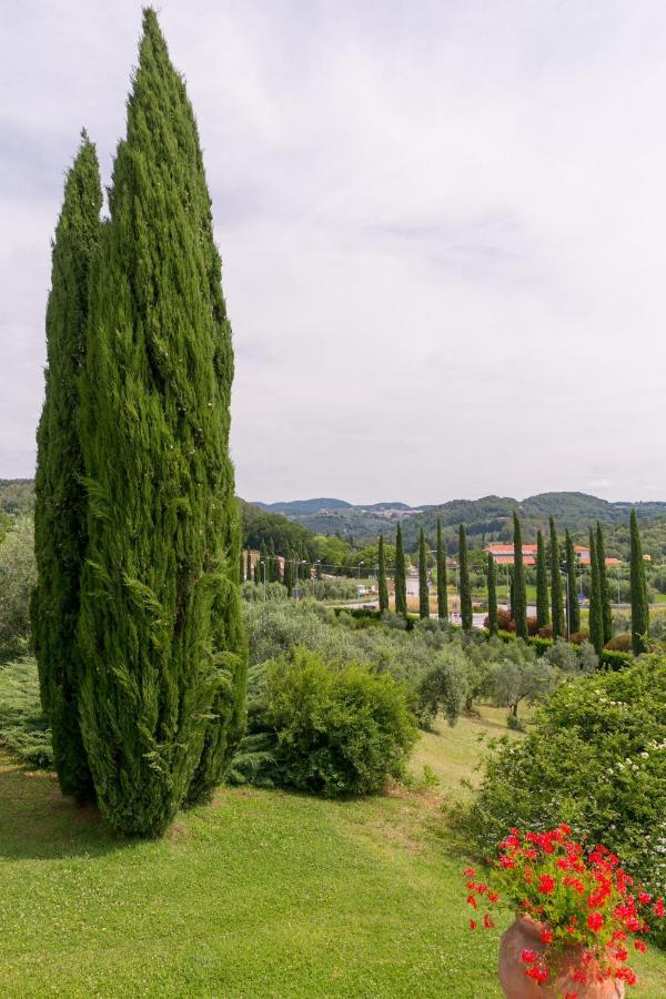 Villa Ligustro Riparbella Exteriér fotografie